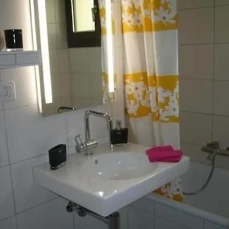 Arnica 3 *